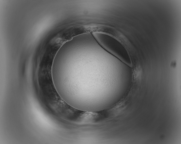 X0000113370429200909221227