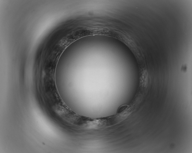 X0000113370430200909221227
