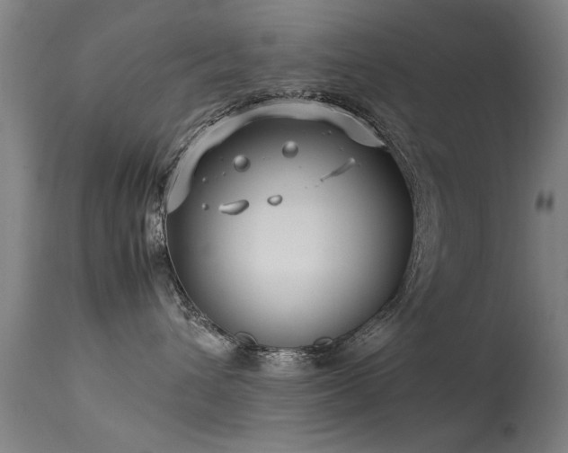 X0000113370432200909221227
