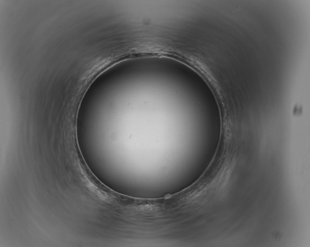X0000113370433200909221227