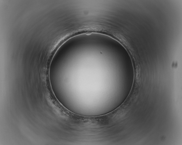 X0000113370434200909221227