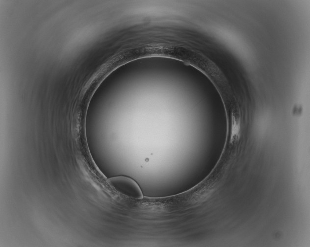 X0000113370435200909221227