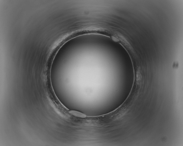 X0000113370436200909221227