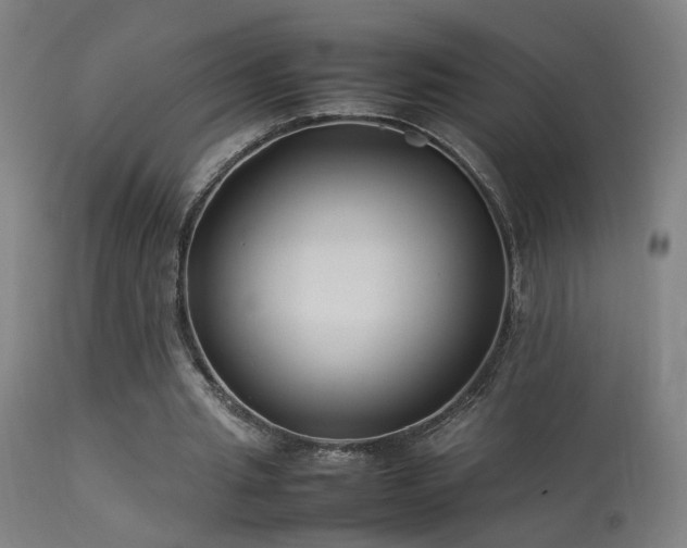 X0000113370437200909221227