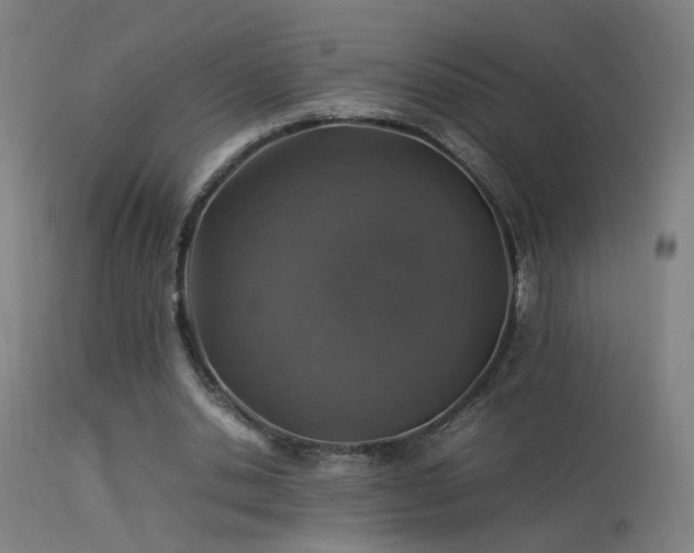X0000113370438200909221227