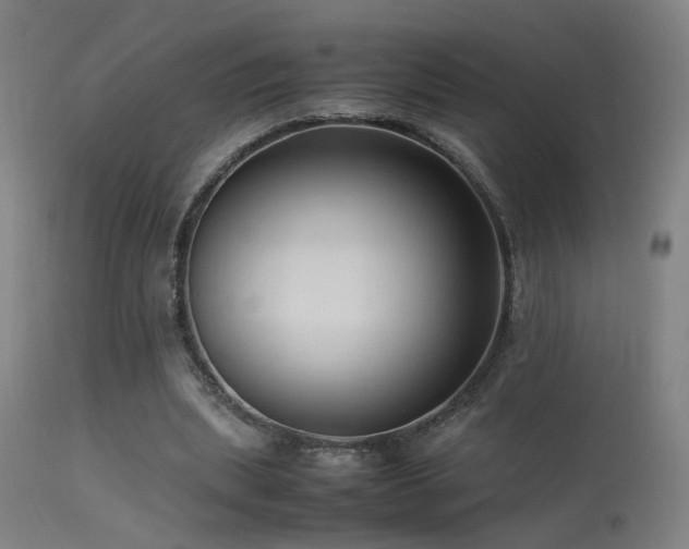 X0000113370439200909221227