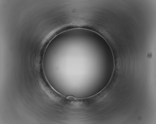 X0000113370440200909221227