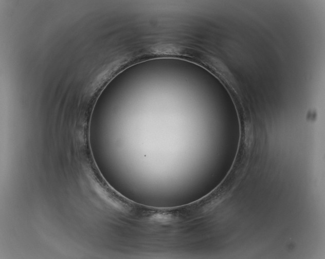 X0000113370441200909221227