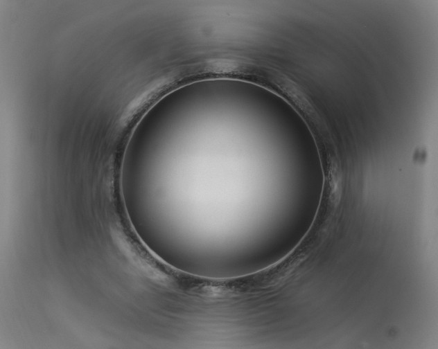 X0000113370442200909221227