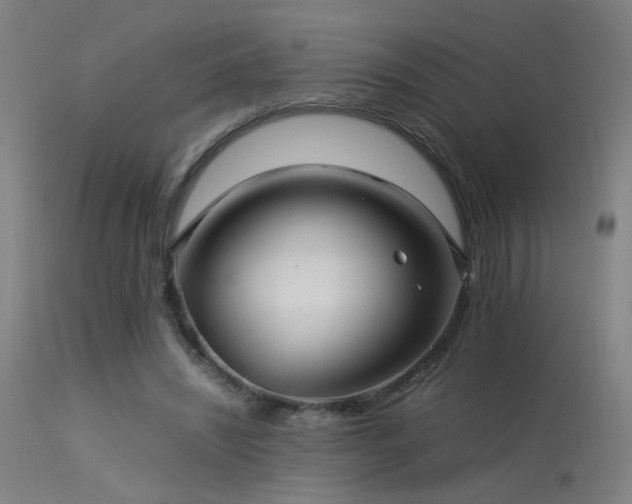 X0000113370444200909221227