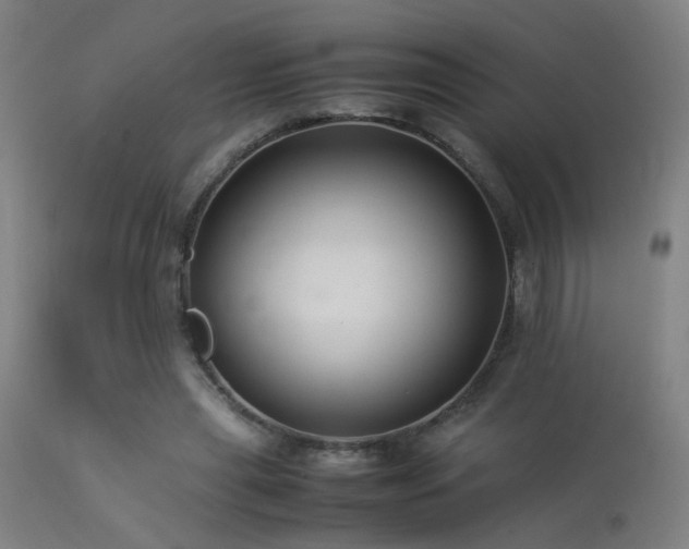 X0000113370445200909221227