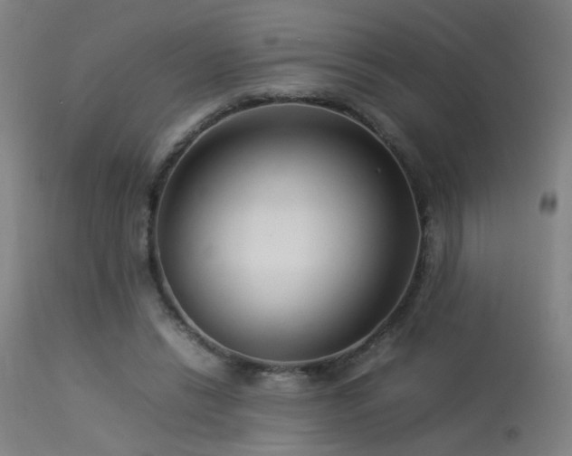 X0000113370446200909221227