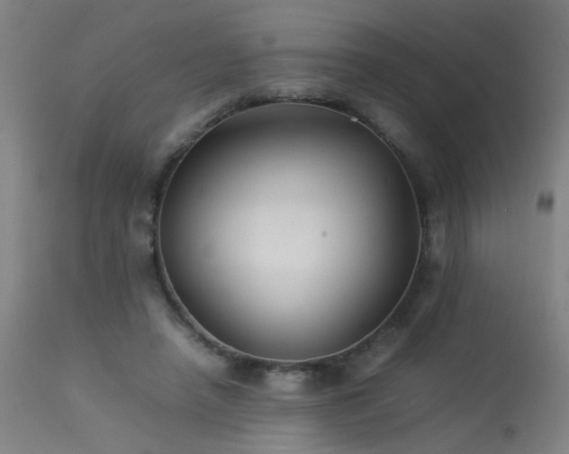 X0000113370450200909221227