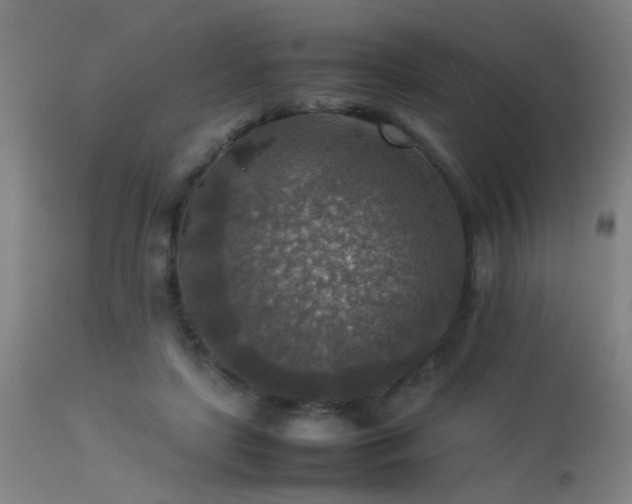 X0000113370451200909221227