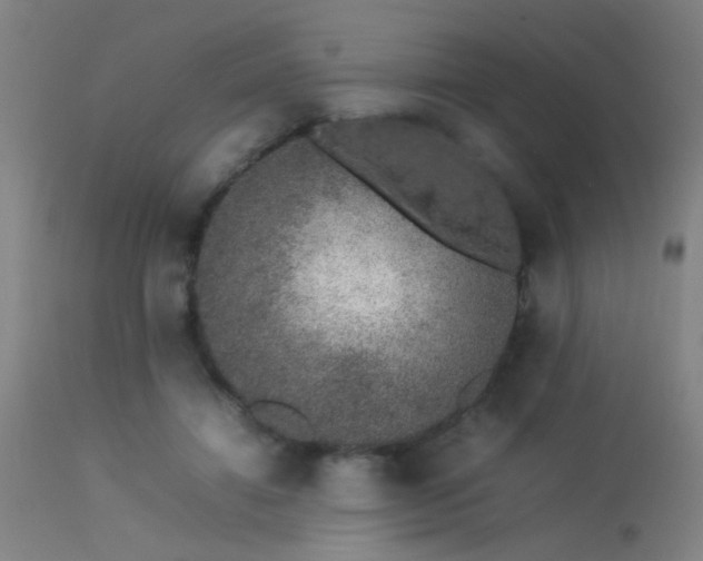 X0000113370452200909221227
