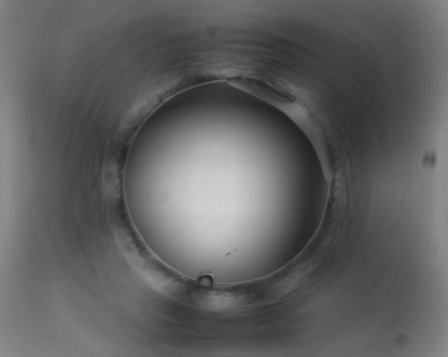 X0000113370453200909221227