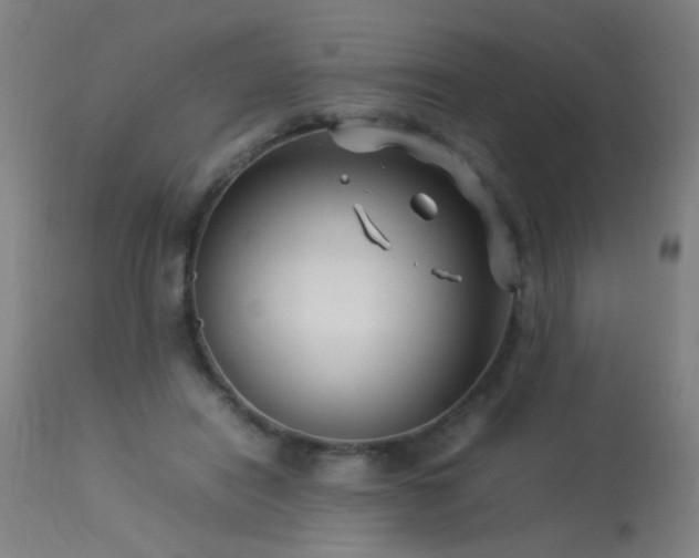 X0000113370454200909221227