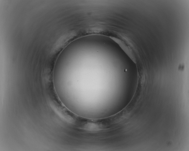 X0000113370455200909221227