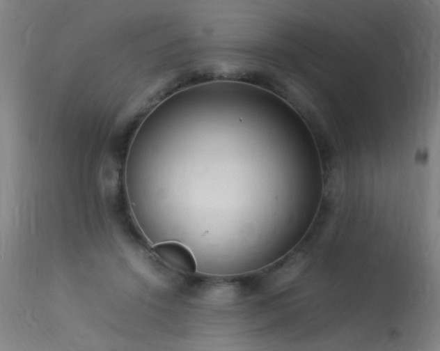 X0000113370456200909221227