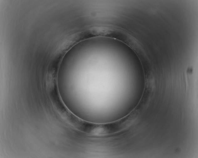 X0000113370460200909221227