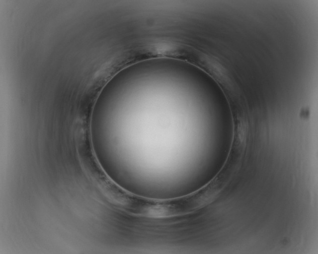 X0000113370461200909221227