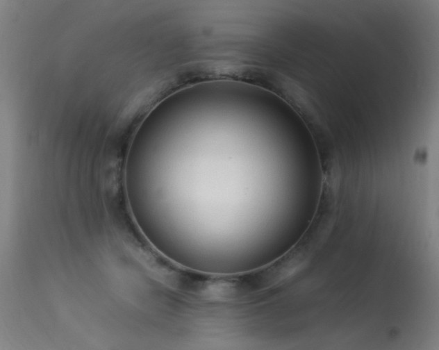 X0000113370462200909221227