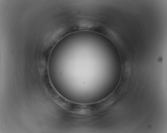 X0000113370463200909221227