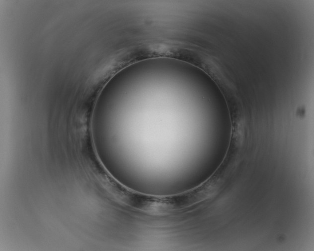 X0000113370466200909221227