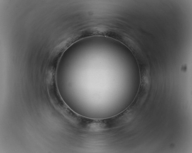 X0000113370468200909221227