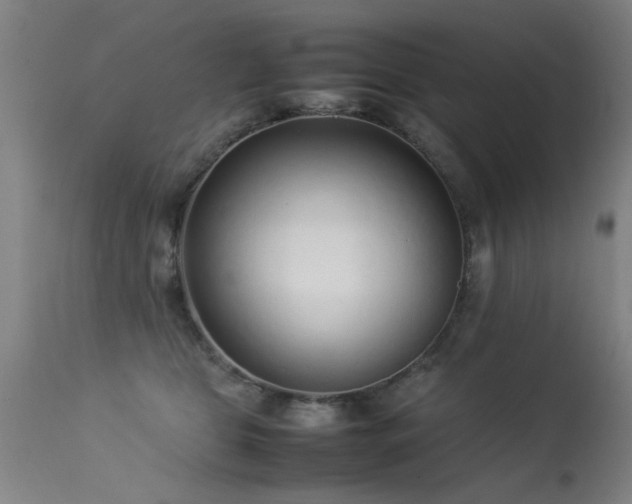 X0000113370469200909221227