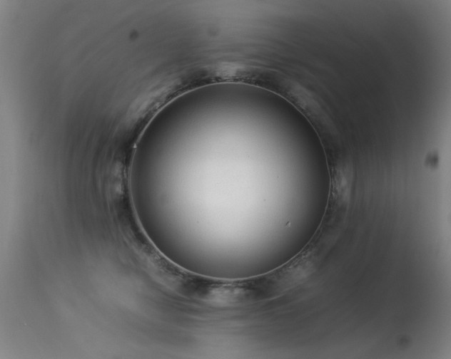 X0000113370470200909221227