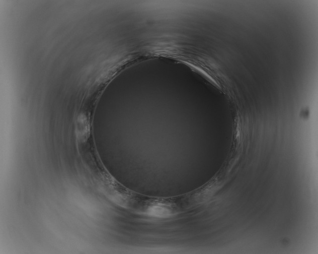 X0000113370471200909221227
