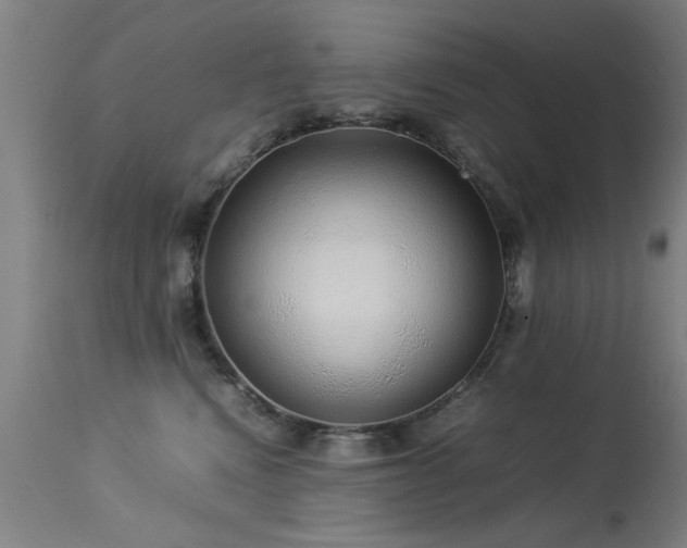 X0000113370472200909221227
