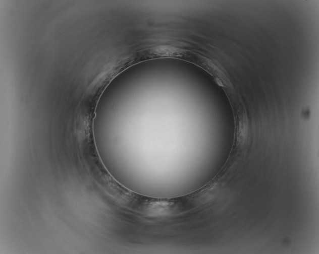 X0000113370473200909221227
