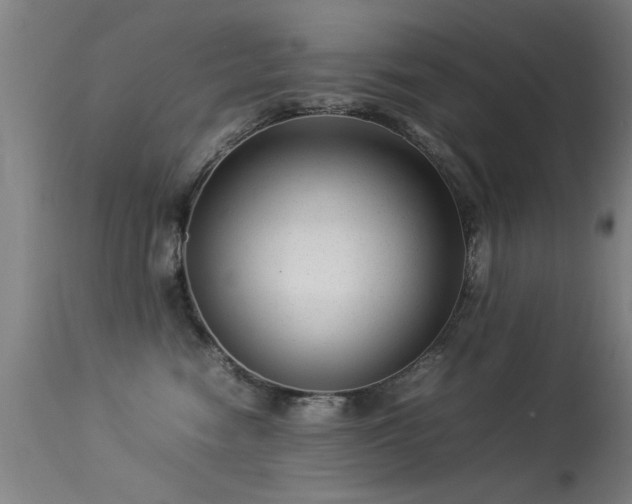 X0000113370474200909221227
