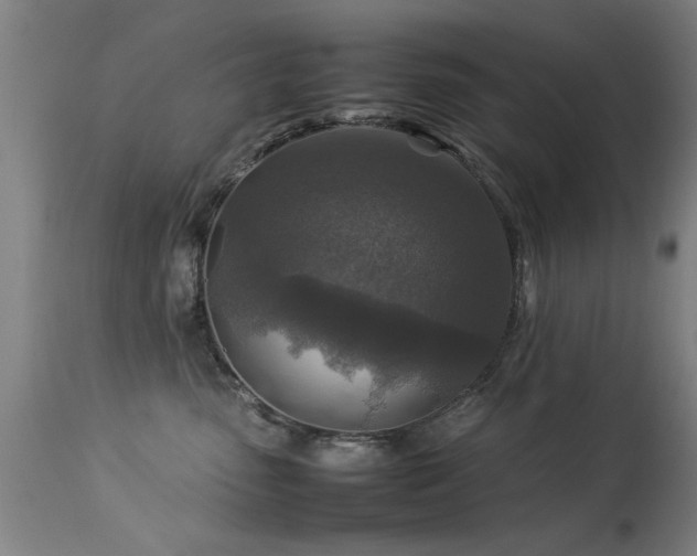 X0000113370475200909221227