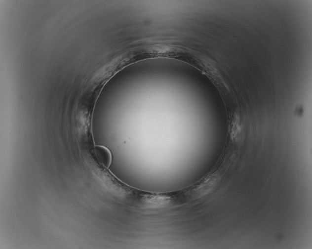 X0000113370476200909221227