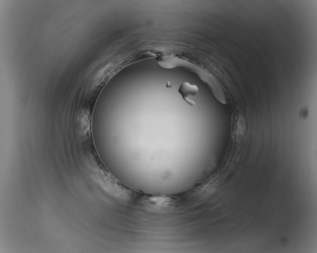 X0000113370478200909221227