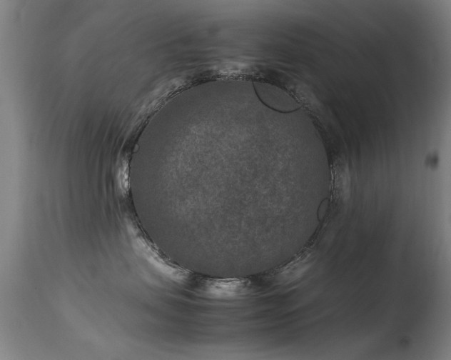 X0000113370479200909221227