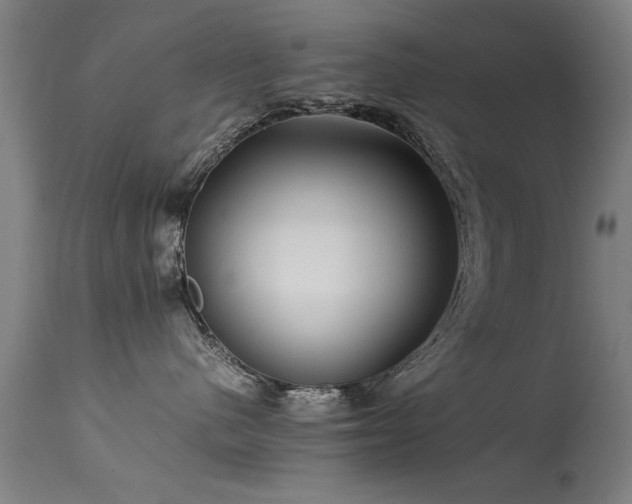 X0000113370480200909221227
