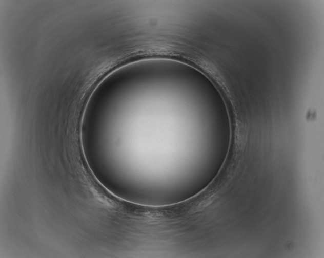 X0000113370481200909221227