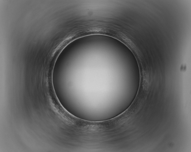 X0000113370482200909221227