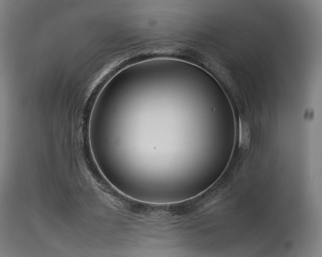 X0000113370483200909221227