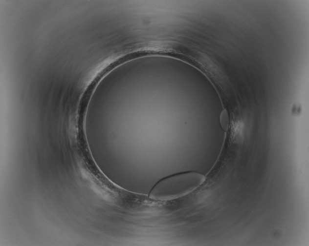 X0000113370484200909221227