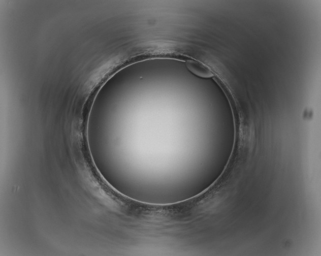 X0000113370485200909221227