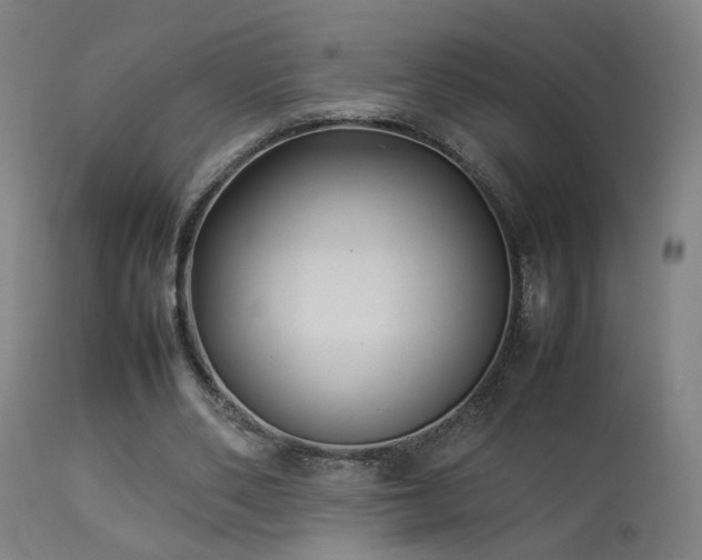 X0000113370486200909221226