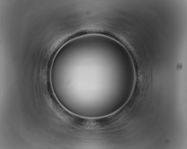 X0000113370487200909221226