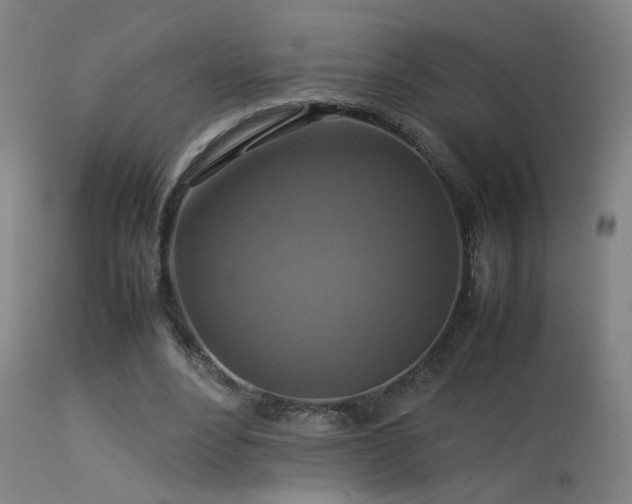 X0000113370488200909221226