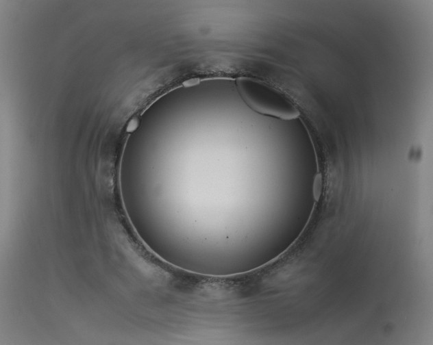 X0000113370489200909221226