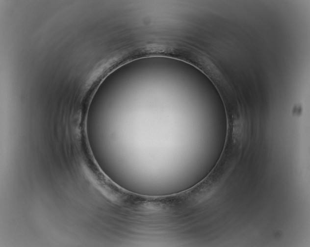 X0000113370490200909221226